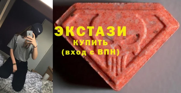 стаф Инта