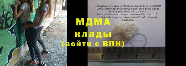 индика Осташков