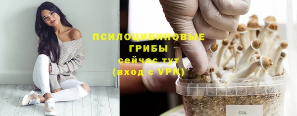 индика Осташков