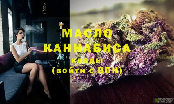 индика Осташков