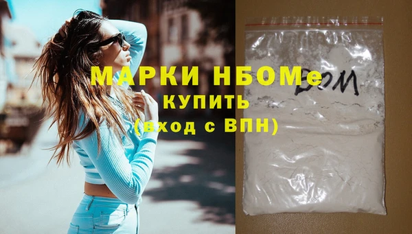стаф Инта