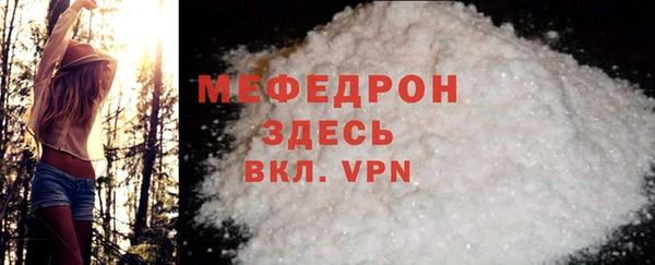 индика Осташков