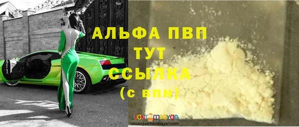 индика Осташков