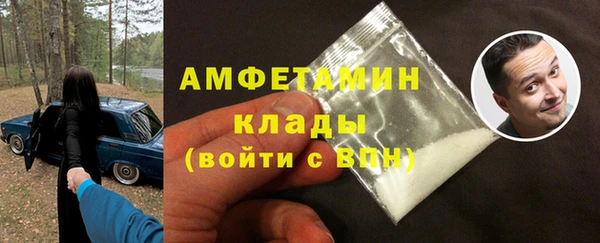 индика Осташков