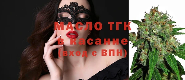 индика Осташков